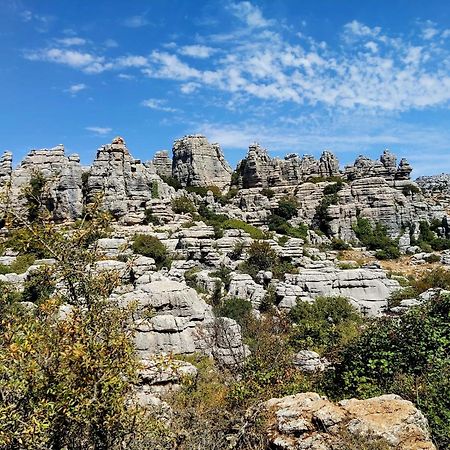 Cactus Hill - Safari Tents - Caminito Del Rey 알로라 외부 사진