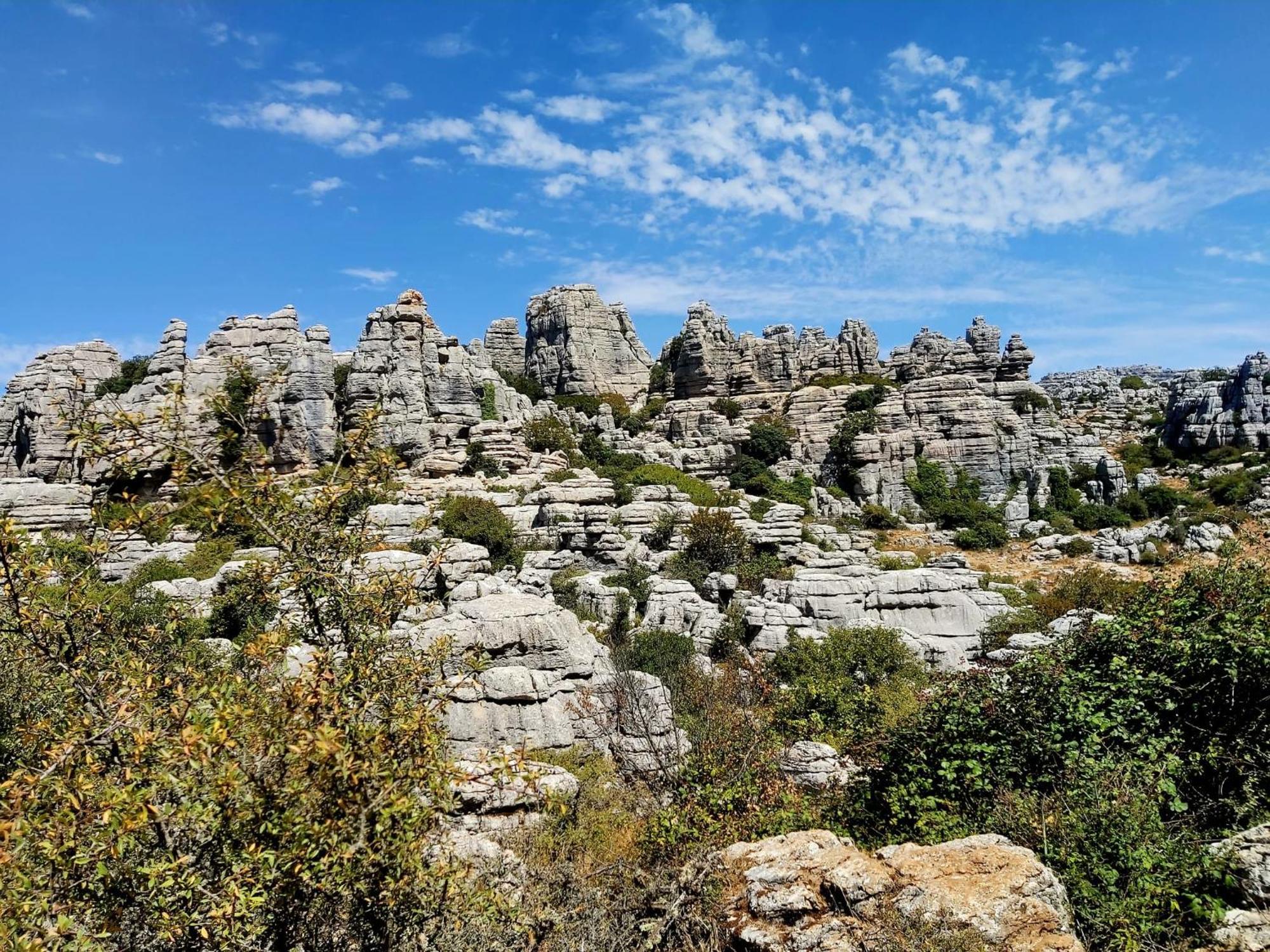 Cactus Hill - Safari Tents - Caminito Del Rey 알로라 외부 사진